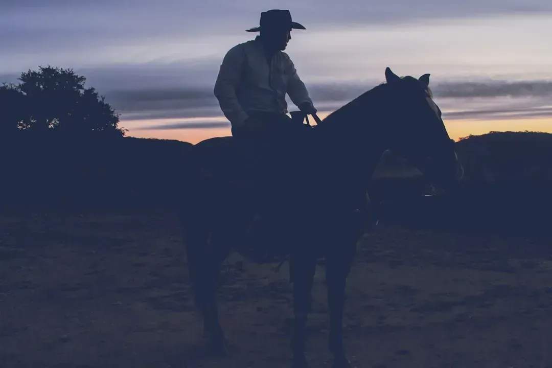 9. "I'm Walkin' Here!" - Midnight Cowboy (1969) (Image Credits: Unsplash)