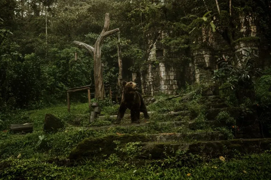 3. The Jungle Book (2016) (Image Credits: Pexels)
