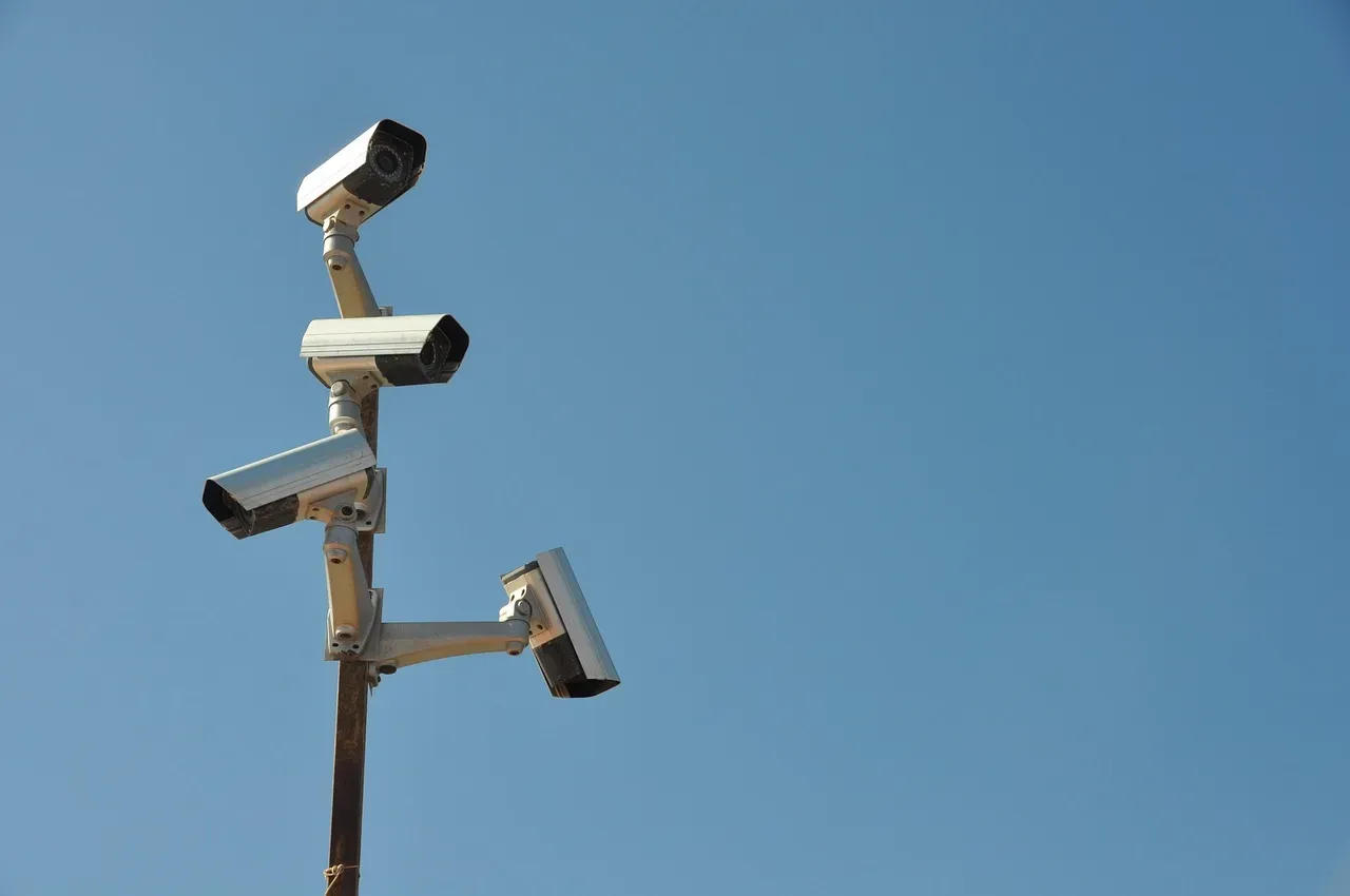 Surveillance Footage and a Sucker Punch (Image Credits: Pixabay)