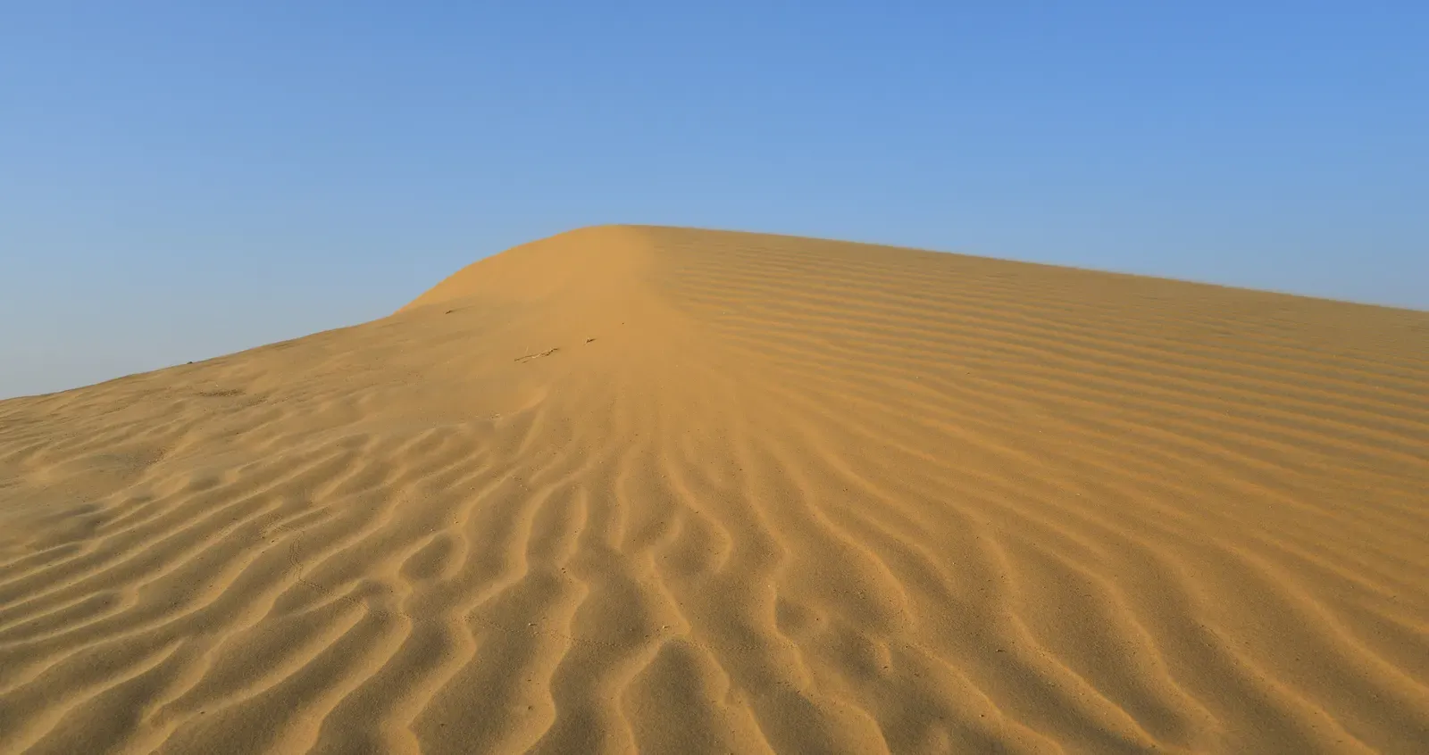 7. Lawrence of Arabia (1962) (Image Credits: Wikimedia)
