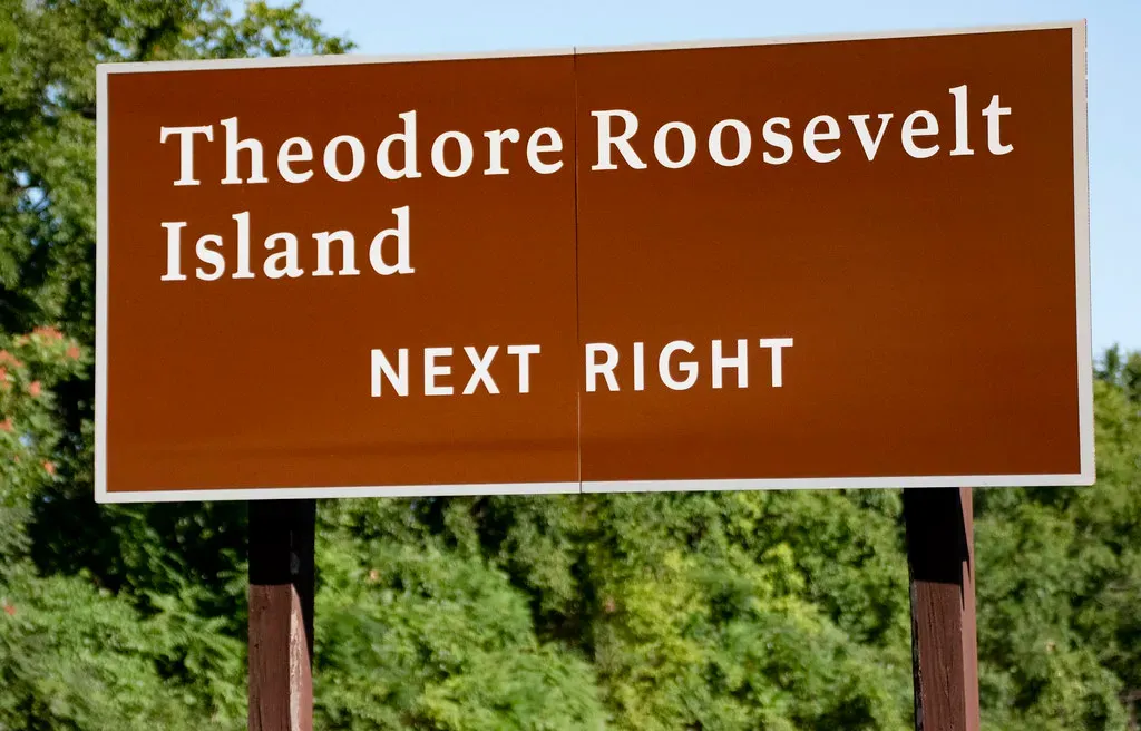 5. Theodore Roosevelt: The Conservation Pioneer (Image Credits: Flickr)