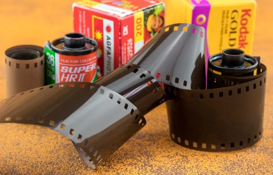 Duplicating Nitrate onto Stable Media (Image Credits: Pexels)