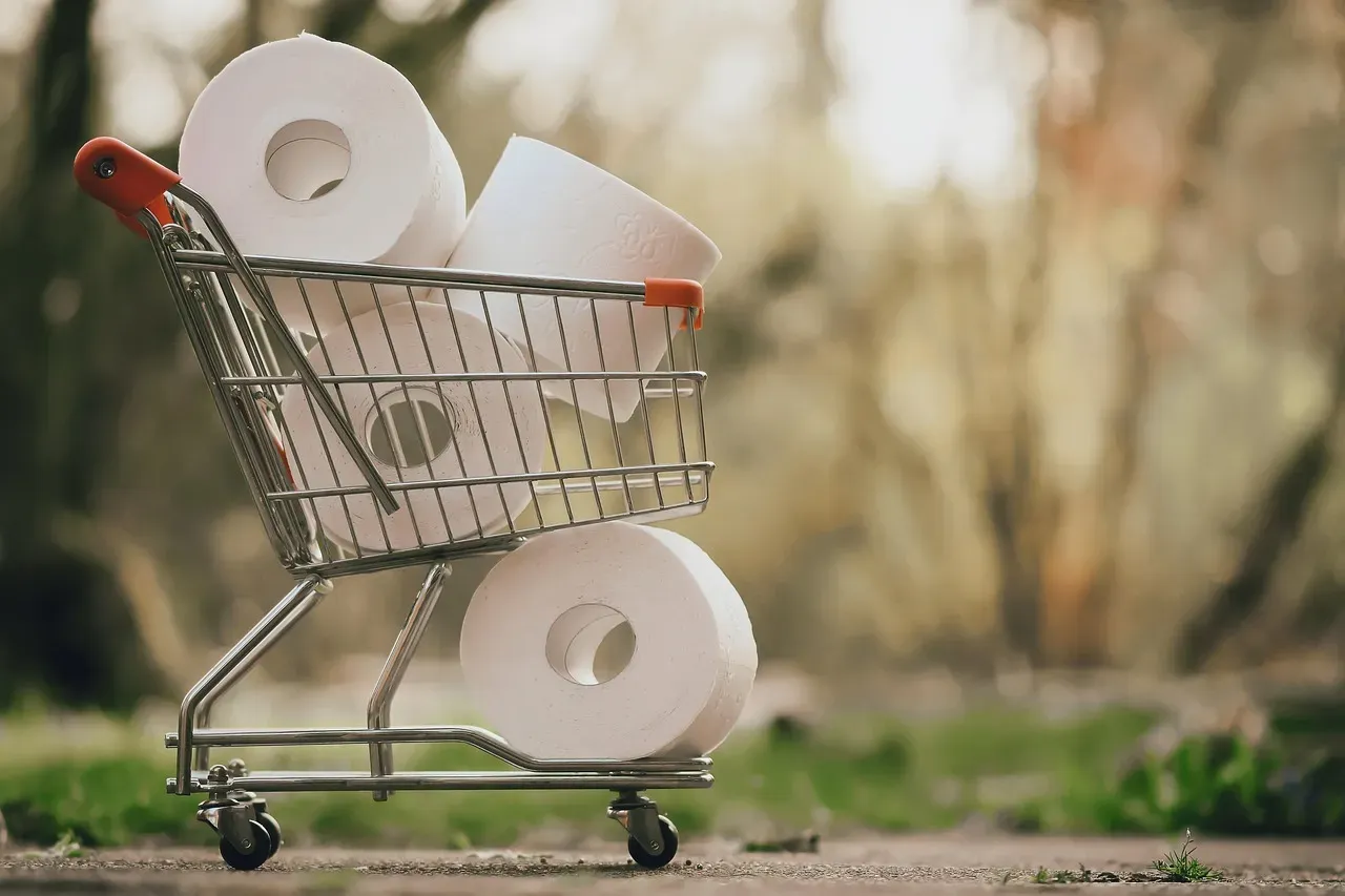 Amenities and Shopping: Summerlin's Urban-in-Suburban Experience (Image Credits: Pixabay)