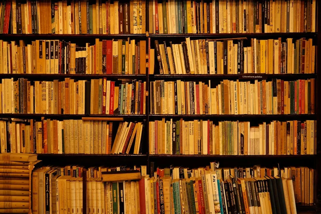 Conclusion: Flames Can't Kill an Idea (Image Credits: Unsplash)