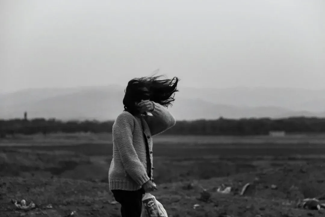 Gone with the Wind (1939) (Image Credits: Unsplash)