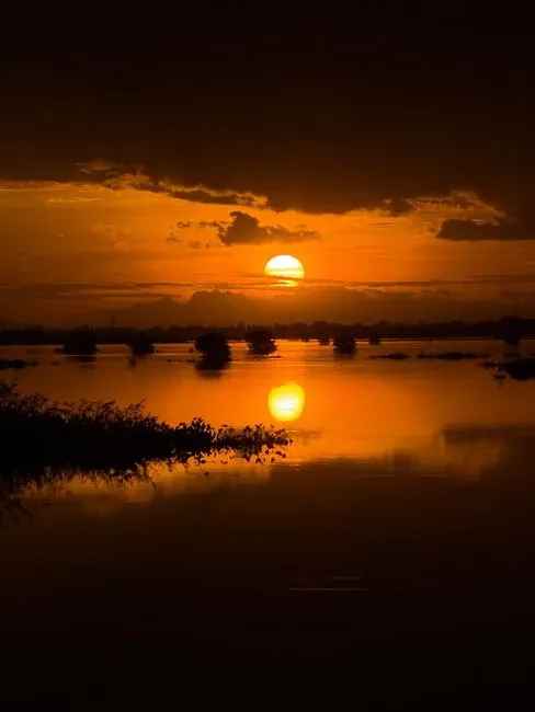 Apocalypse Now (1979 and 2019) (Image Credits: Pexels)
