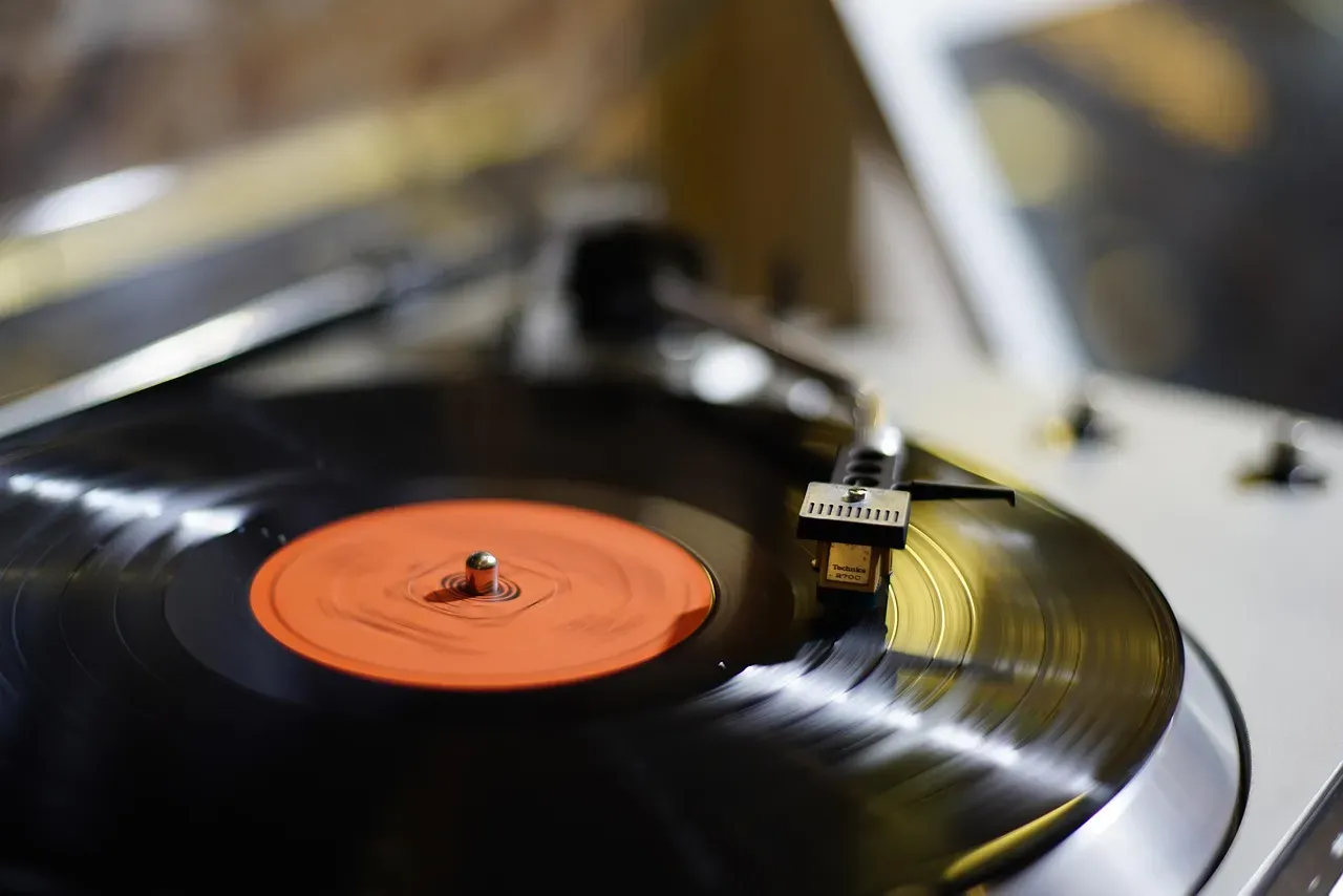 Get a Turntable and Actually Play Them (Image Credits: Pixabay)