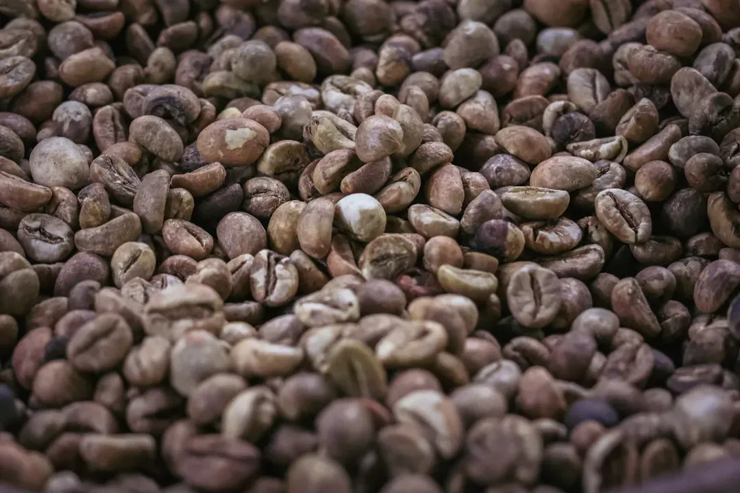 Kopi Luwak: The Controversial Civet Coffee (Image Credits: Unsplash)