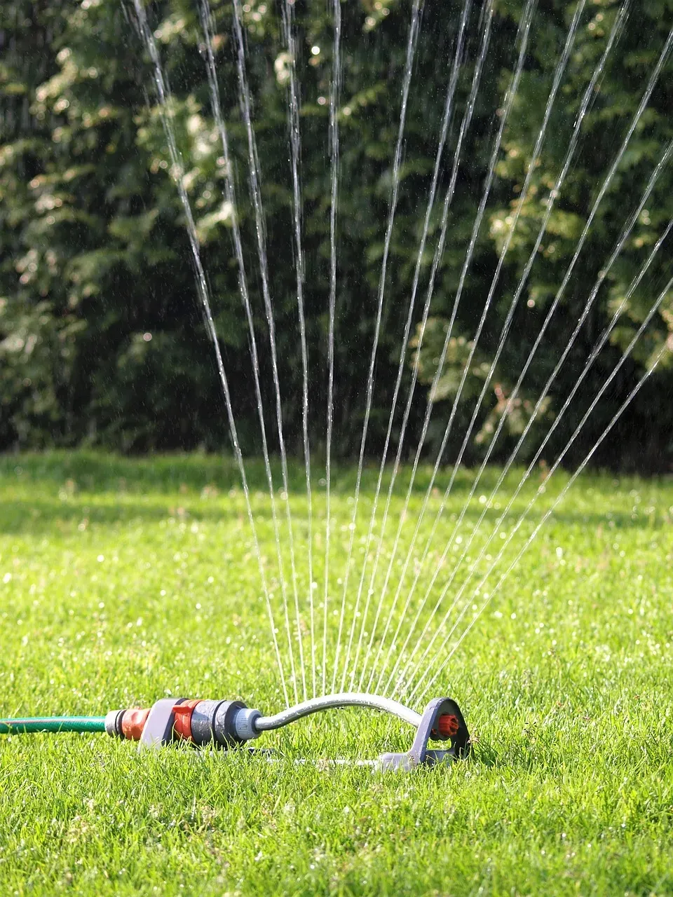 How Much Water Your Lawn Really Uses (Image Credits: Pixabay)
