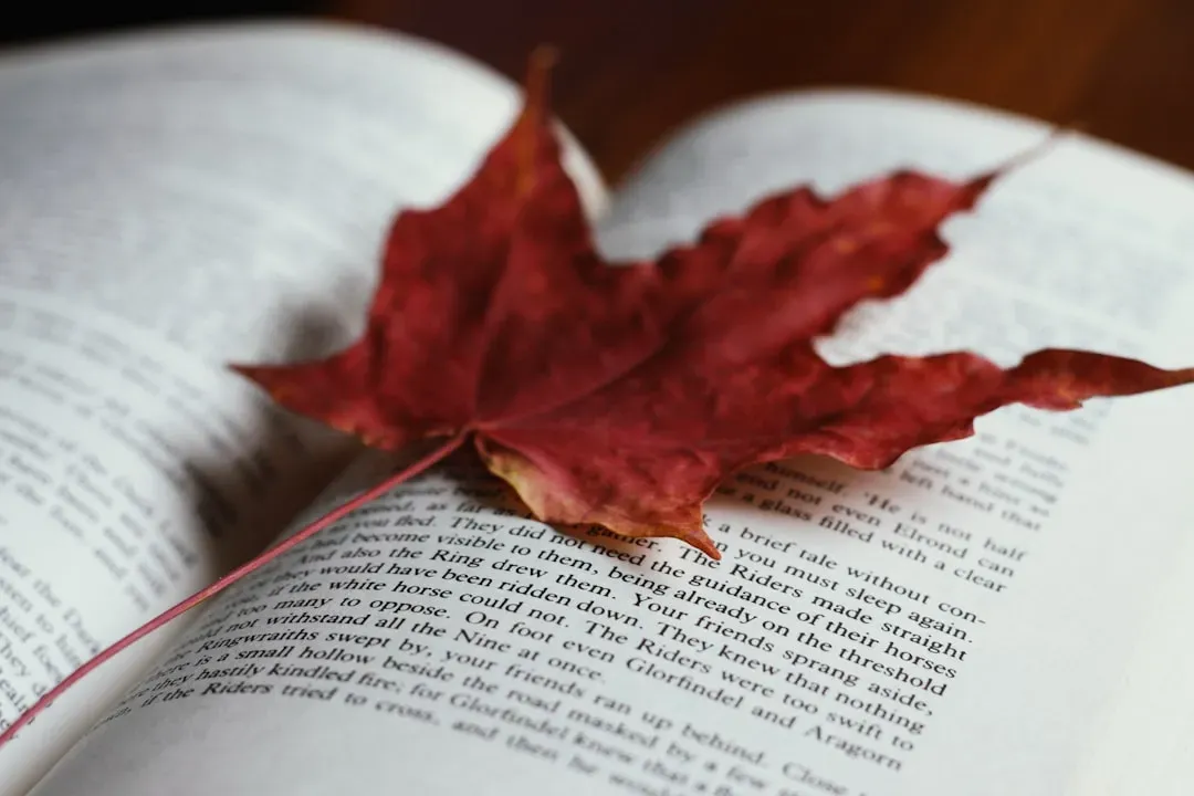 6. House of Leaves by Mark Z. Danielewski (Image Credits: Unsplash)
