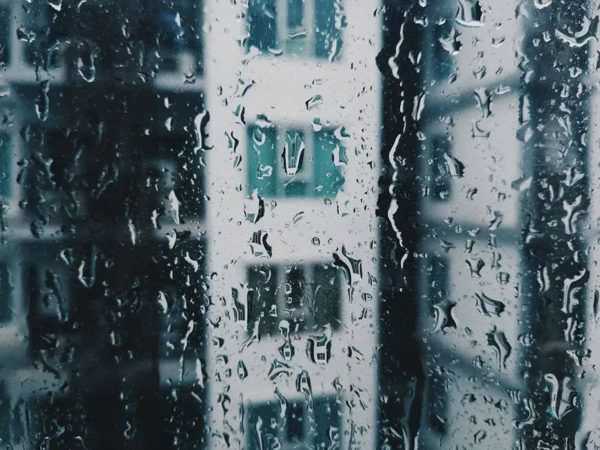 Saul Leiter and Carol (Image Credits: Pexels)
