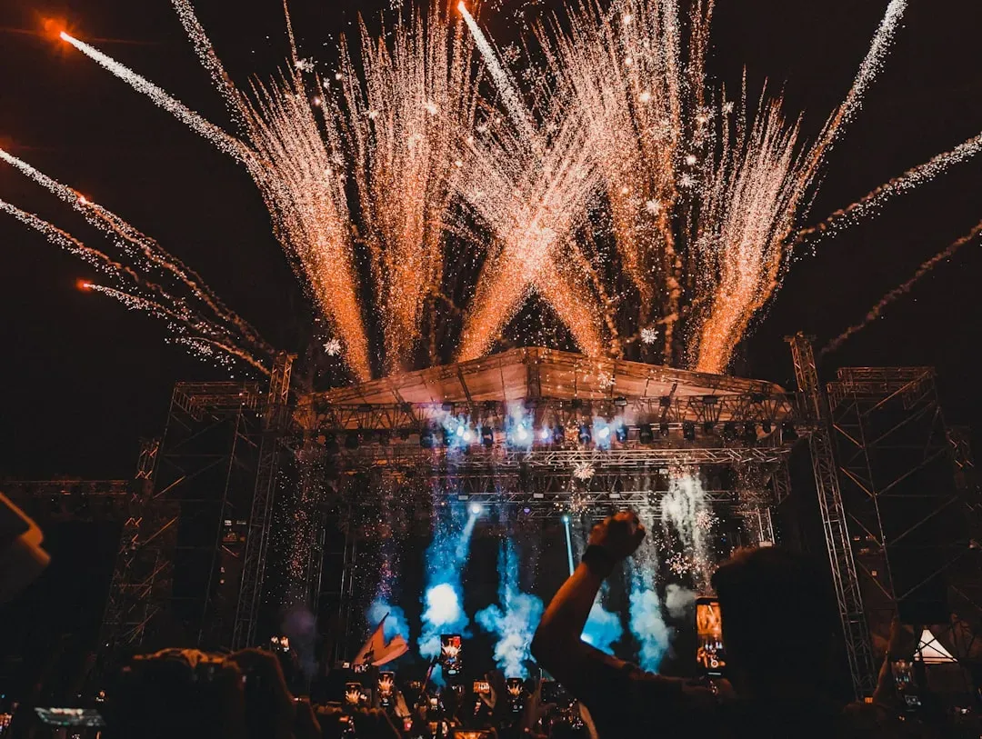Sunburn Festival Goa (Image Credits: Unsplash)