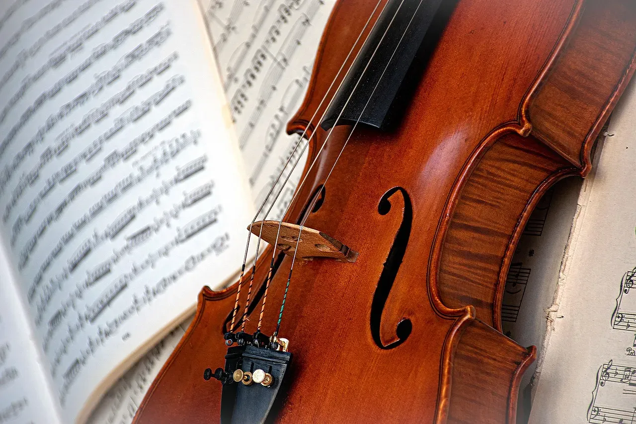17. The 'Hammer' Stradivarius Violin – $3.54 Million (Image Credits: Pixabay)