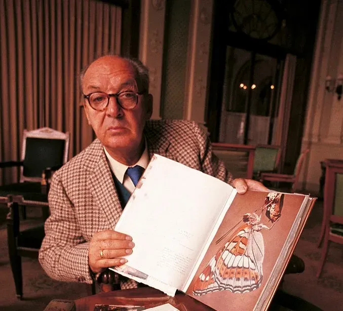 Lolita by Vladimir Nabokov (Image Credits: Wikimedia)