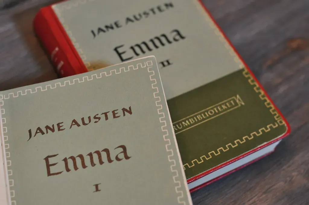6. In Defense of the Novel (cwasteson, Flickr, CC BY 2.0)