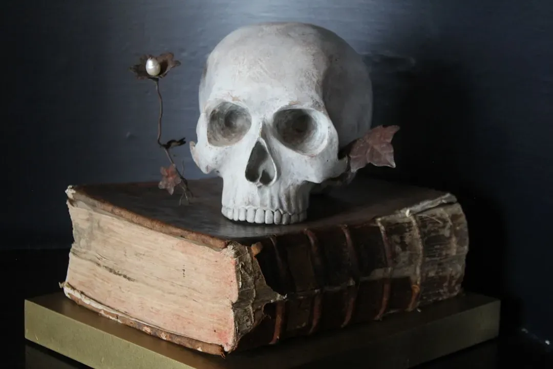7. The Skull Cult: Honoring and Displaying the Dead (Image Credits: Unsplash)