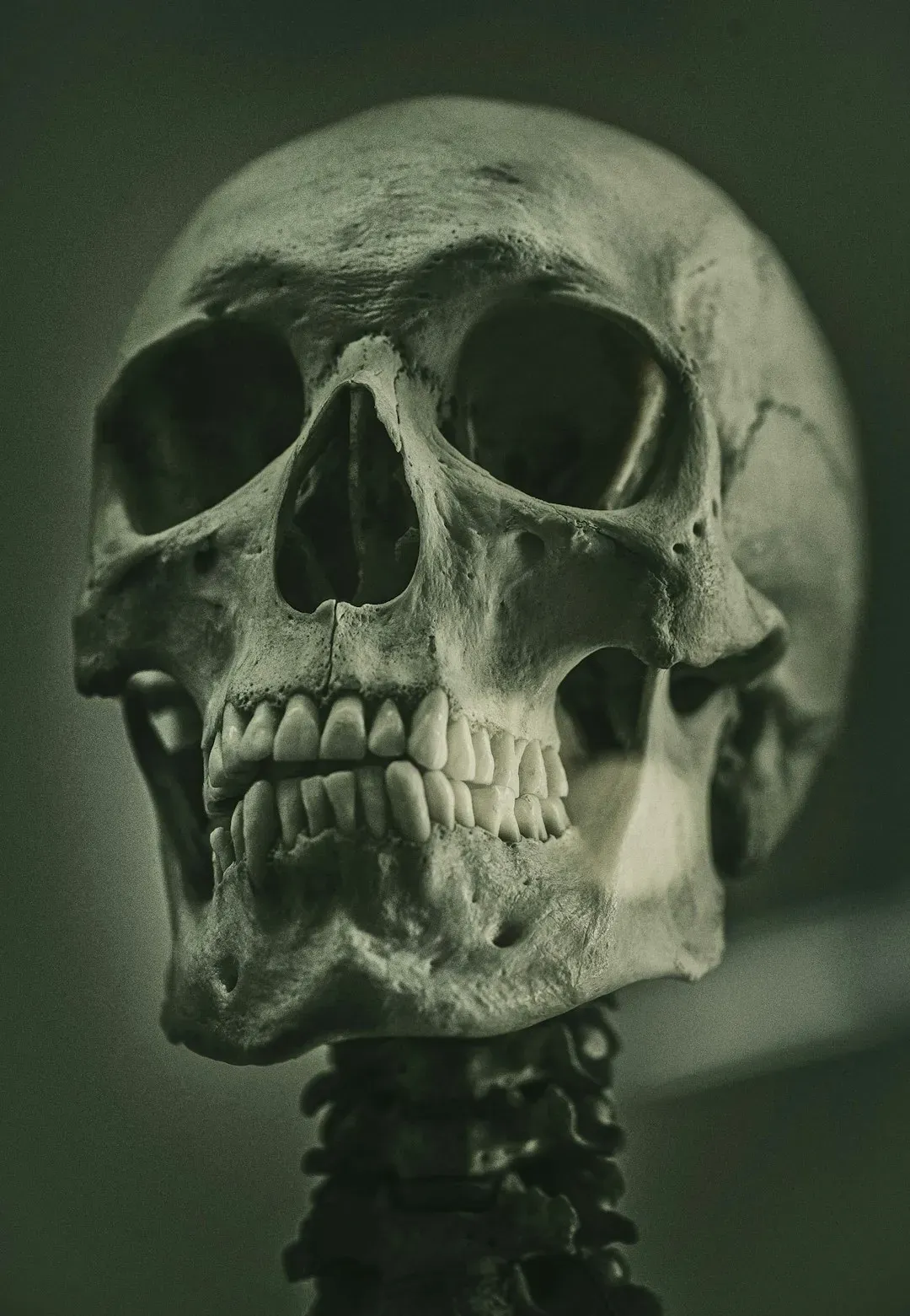10. Ancestor Veneration Before Temples Existed (Image Credits: Unsplash)