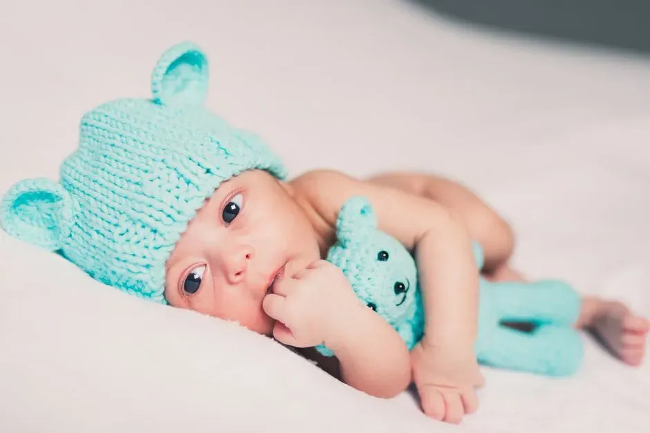 Beanie Babies (Image Credits: Pexels)