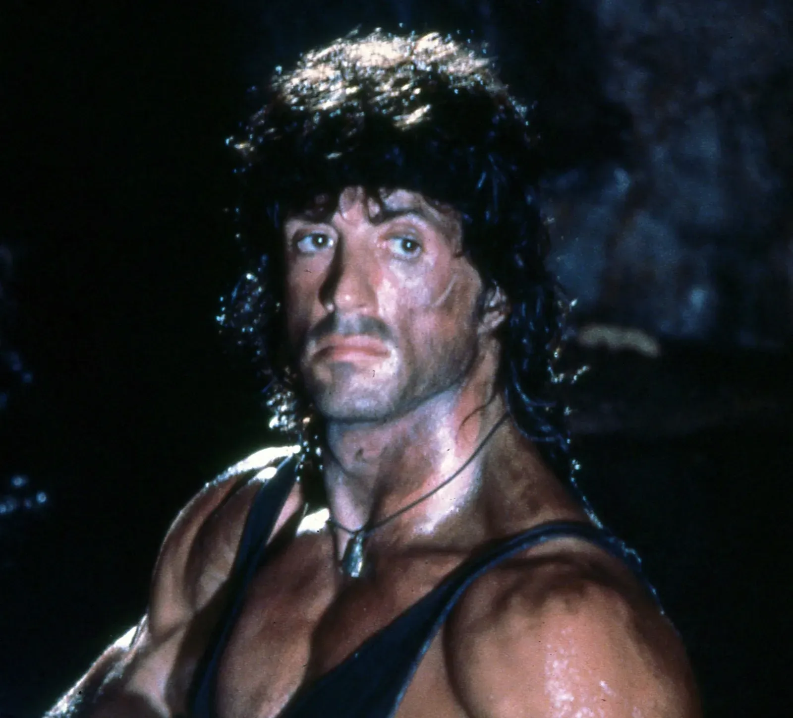 First Blood (1982): Rambo Was Never Meant to Come Back (Image Credits: Wikimedia)