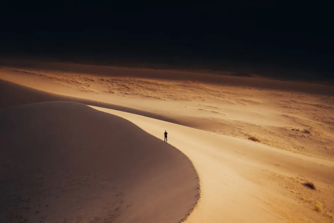 9. Dune: Part Two (2024) (Image Credits: Unsplash)