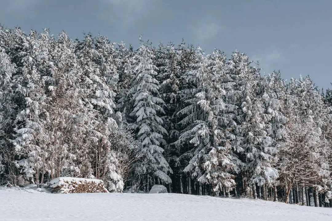 Texture, Space, and the Sonic Qualities That Thrive in Stillness (Image Credits: Unsplash)