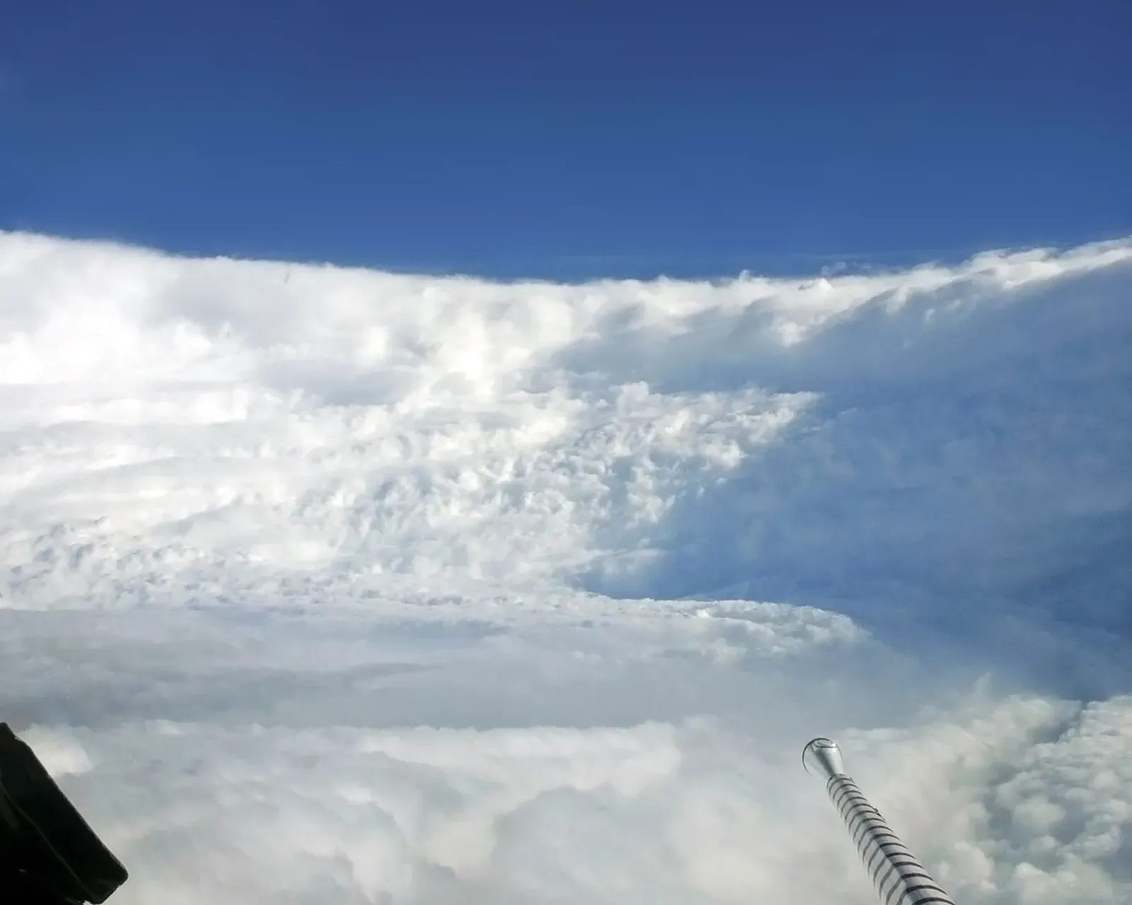 Hurricane Katrina and New Orleans' Musical Rebirth (Image Credits: Wikimedia)