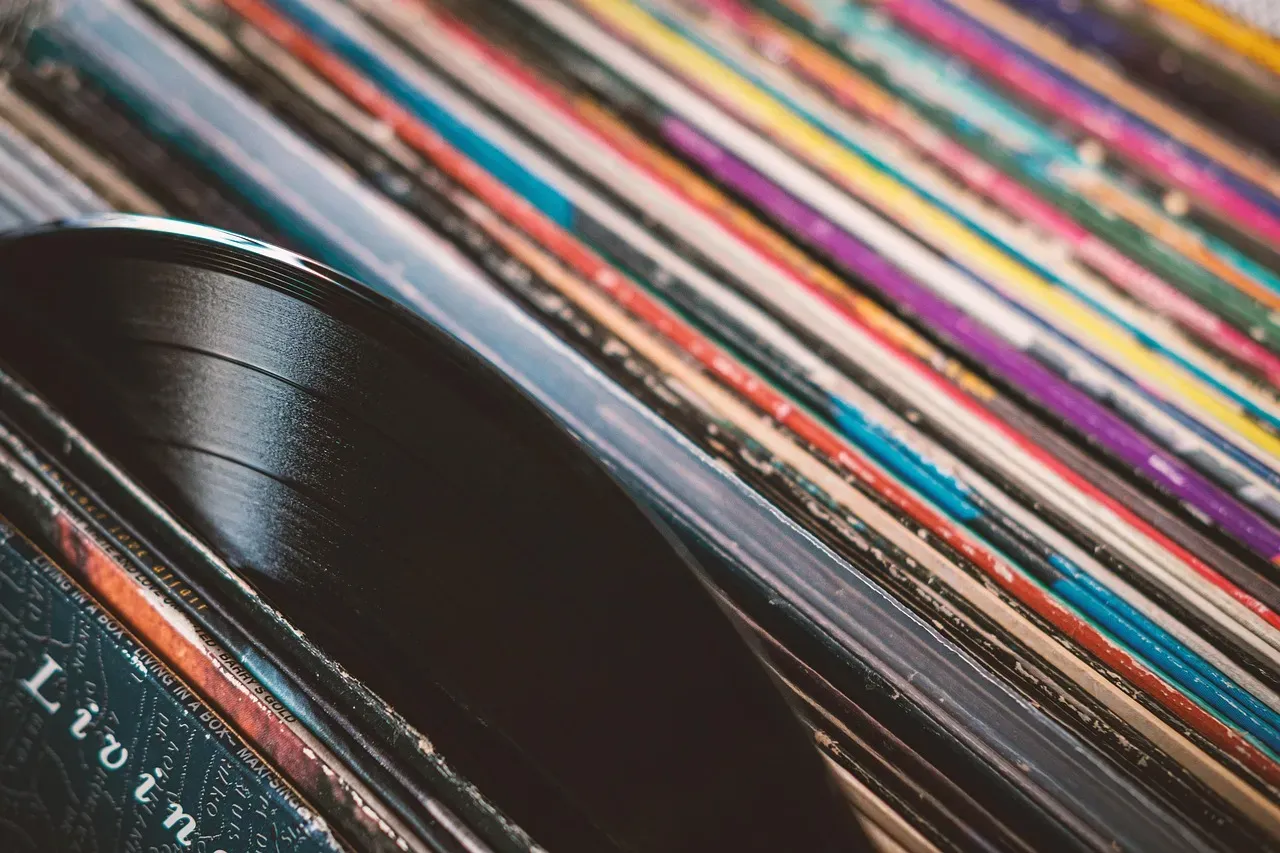 8. Virgin Vinyl and the Purity of the Material (Image Credits: Pixabay)