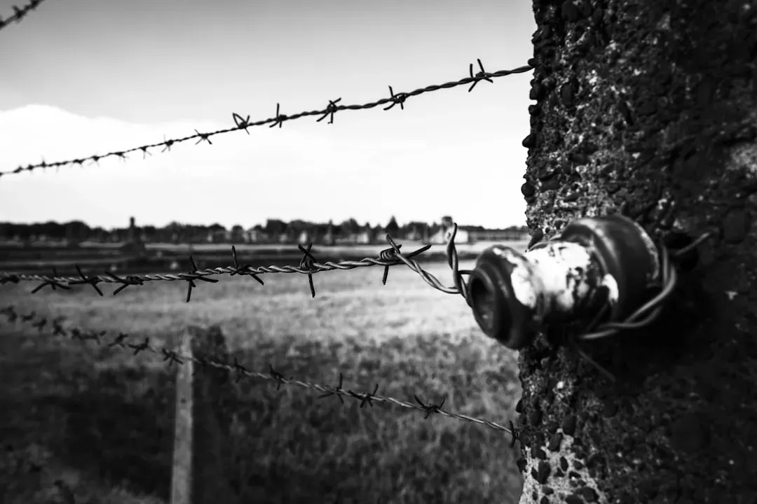 Schindler's List (1993) – The Weight of History on Film (Image Credits: Unsplash)