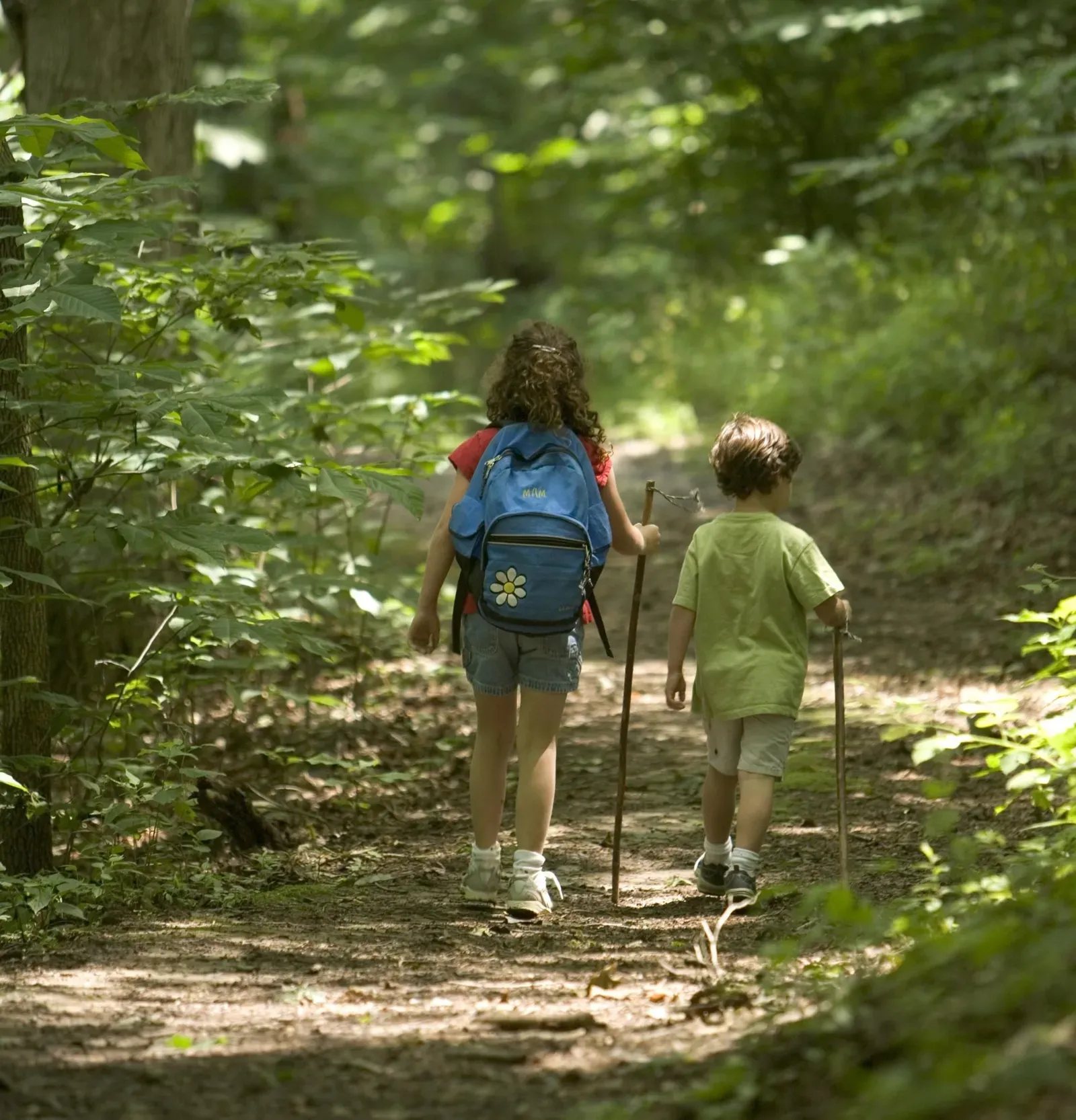 Bridge to Terabithia by Katherine Paterson (Image Credits: Wikimedia)