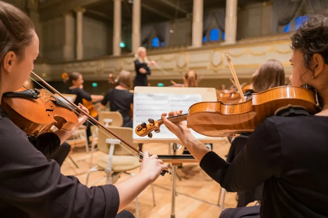 Symphony No. 9, Ode to Joy, by Beethoven (Image Credits: Unsplash)