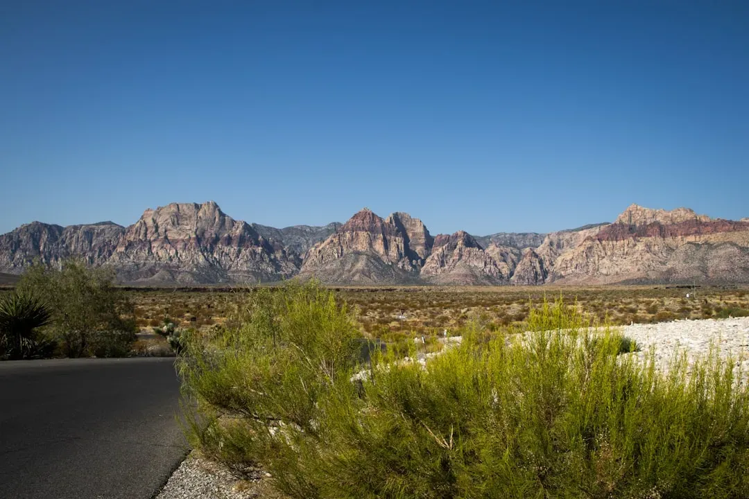 89141 (Southern Highlands): A Rising Contender in the Southwest (Image Credits: Unsplash)