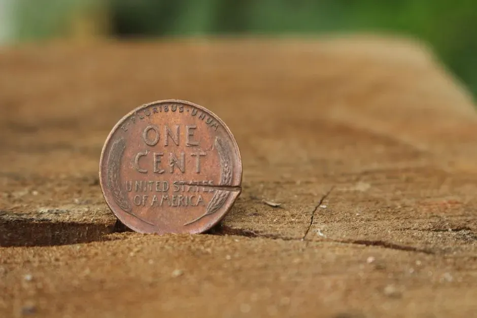 Why the Mint Pulled the Plug (Image Credits: Pexels)