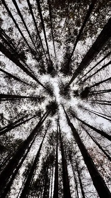 8. Don't Look Up (2021) (Image Credits: Pexels)