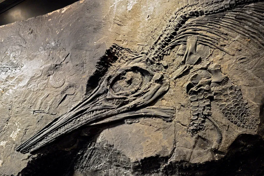 Berlin-Ichthyosaur State Park: Fossils Meet the Old West (Image Credits: Flickr)