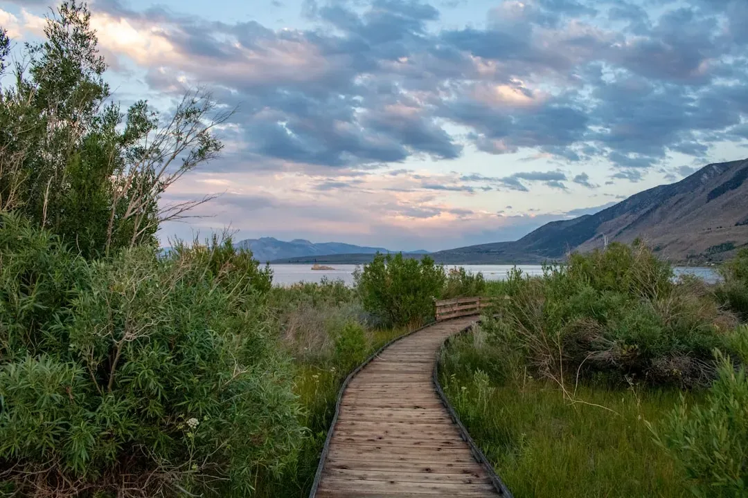 4. Wetlands Duck Creek, Coyote Howl, and Quail Run Trails (Image Credits: Unsplash)