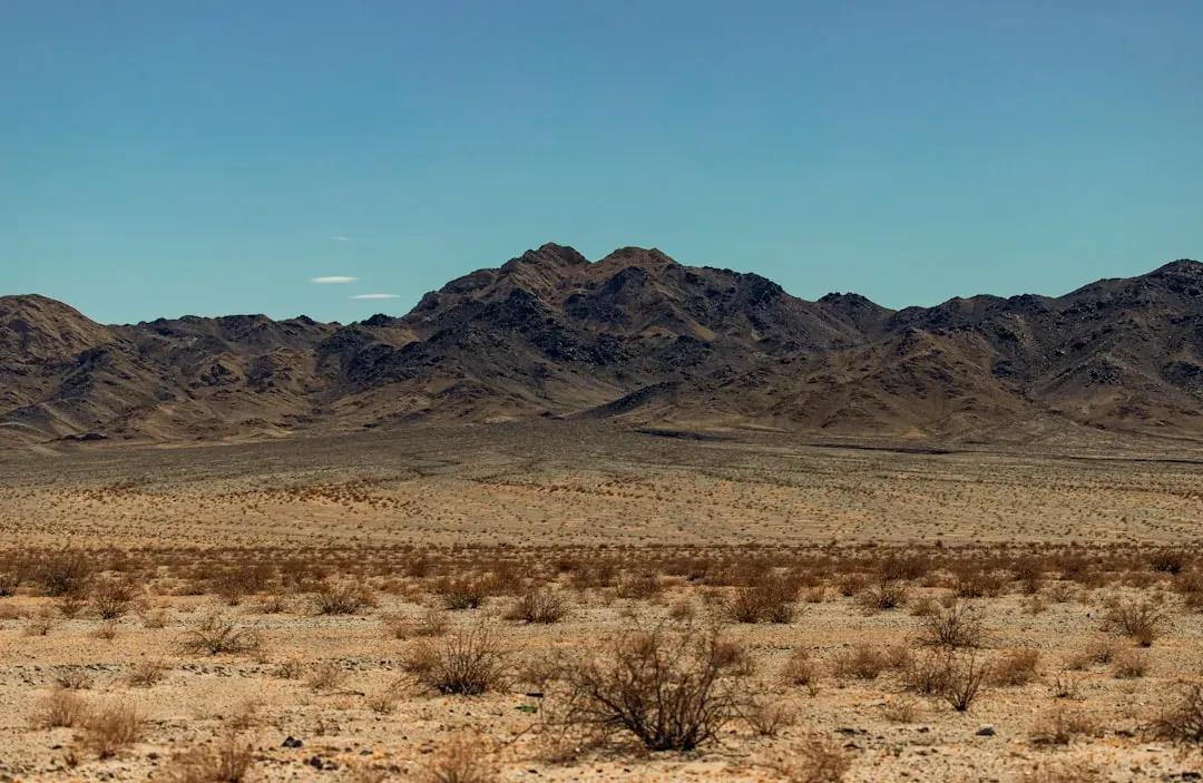 The Dehydration Trap Unique to Dry Desert Conditions (Image Credits: Unsplash)