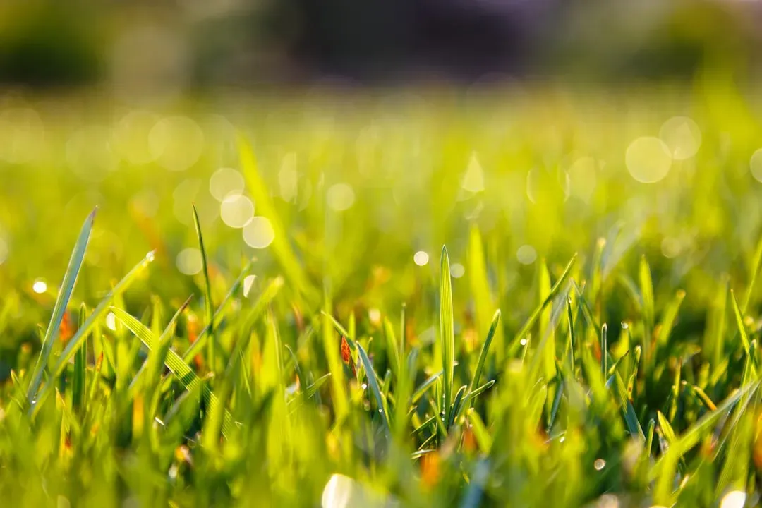 The Rebate Opportunity for Homeowners (Image Credits: Unsplash)