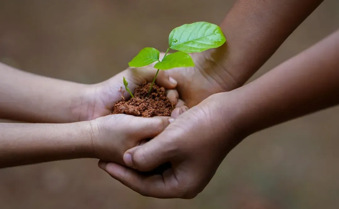 The Giving Tree by Shel Silverstein (Image Credits: Pixabay)