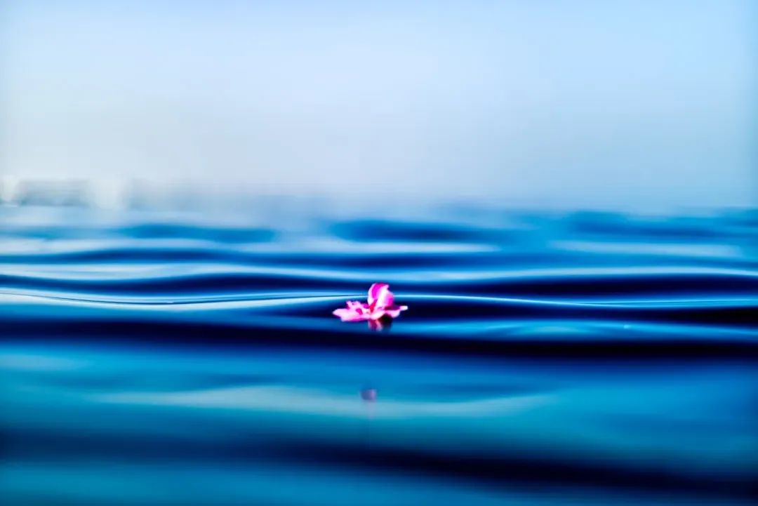 A Practice That Has Gone Mainstream (Image Credits: Unsplash)