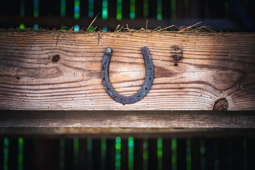 The Horseshoe as a Lucky Charm (Image Credits: Unsplash)