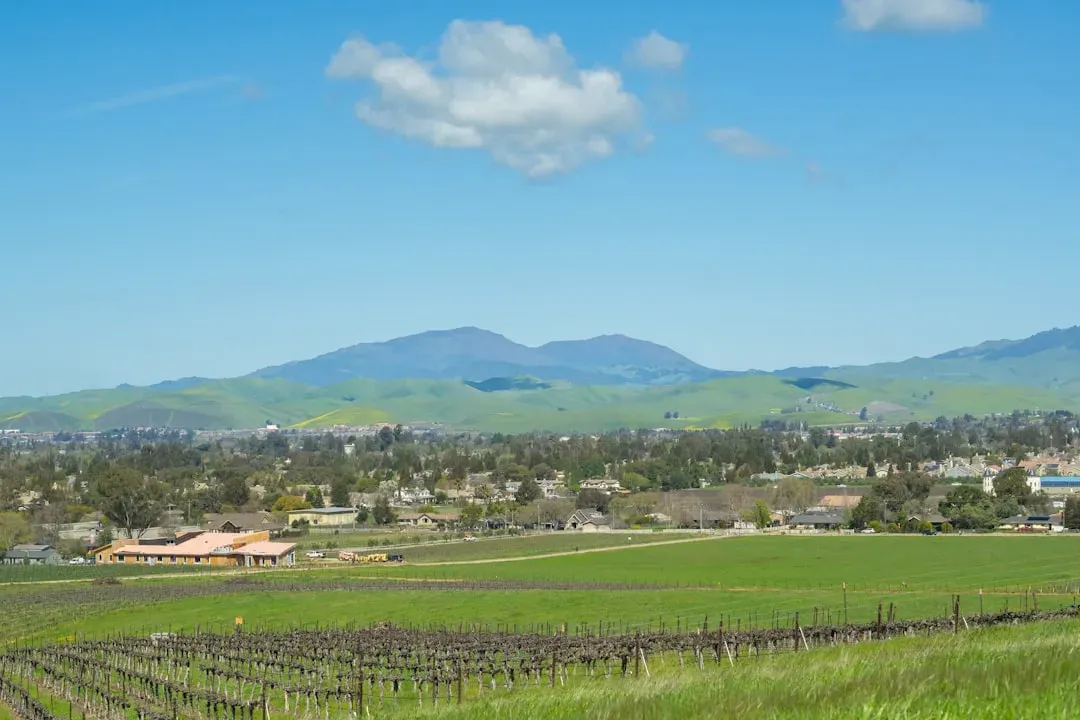 Spring Valley: The Quiet Performer You Haven't Heard Enough About (Image Credits: Unsplash)