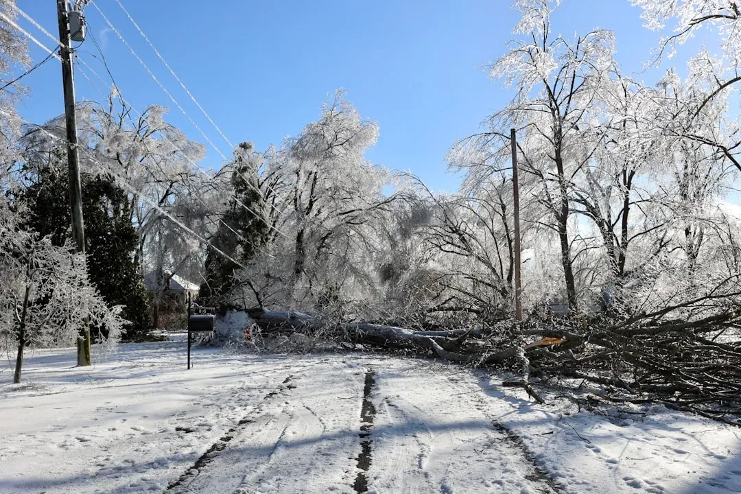 The El Niño Factor: When Climate Patterns Rewrite the Rulebook (Image Credits: Unsplash)