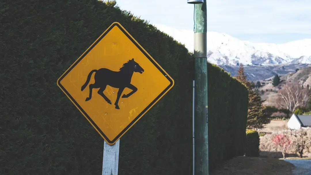 Sign #3: The Hacienda Horse and Rider (Image Credits: Unsplash)
