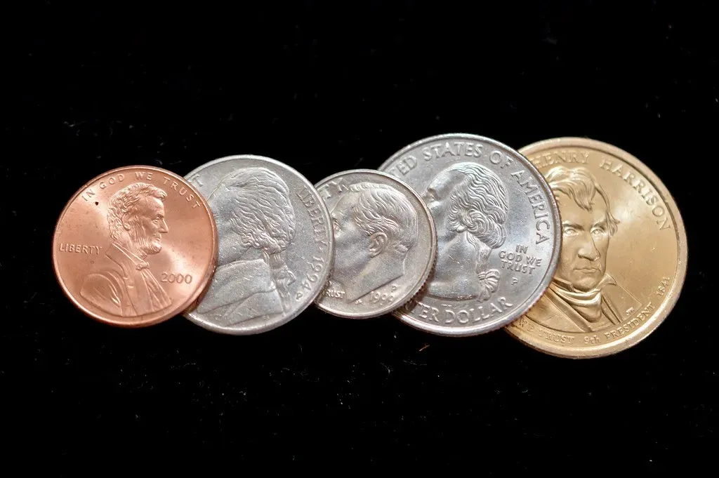 Keep a Few as a Souvenir (Paula R. Lively, Flickr, CC BY 2.0)
