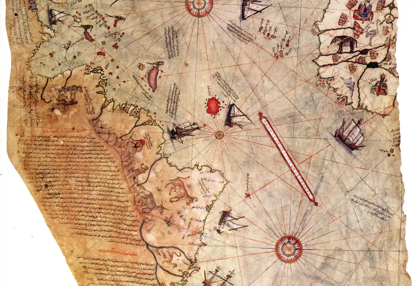 The Piri Reis Map (Image Credits: Wikimedia)