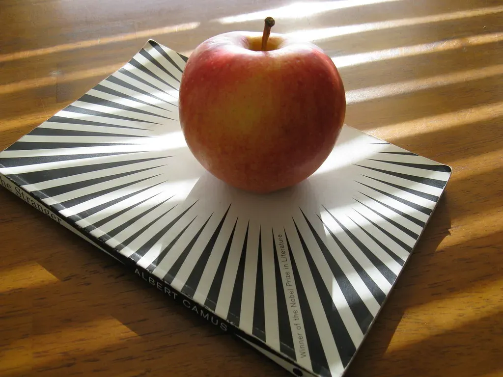 The Stranger by Albert Camus (Image Credits: Flickr)