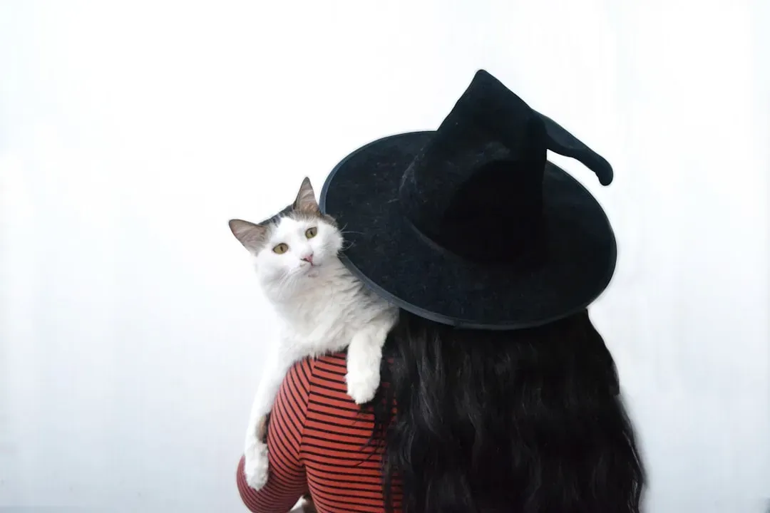 The Cat in the Hat (Image Credits: Unsplash)