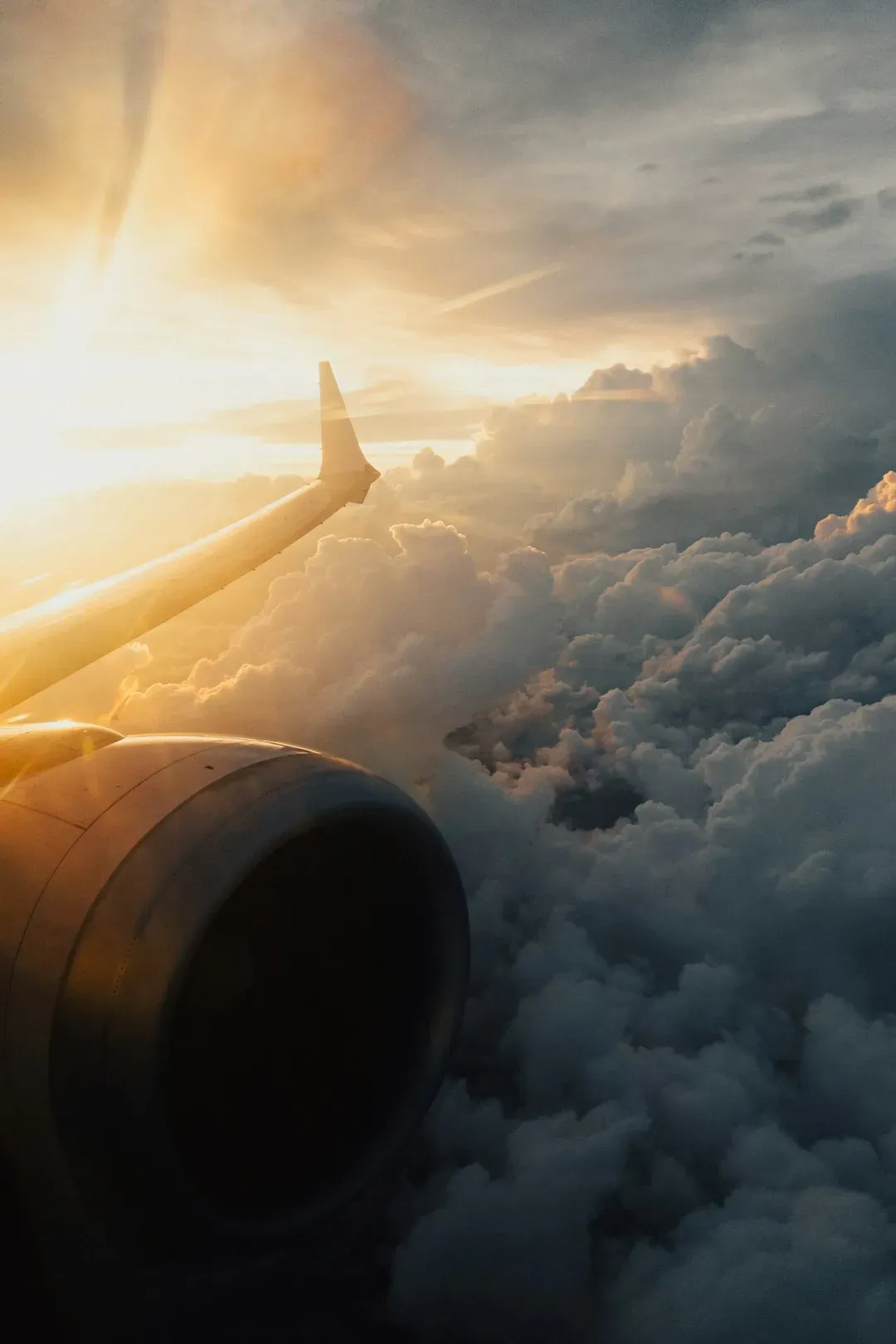 Neutral Milk Hotel – In the Aeroplane Over the Sea (Image Credits: Unsplash)