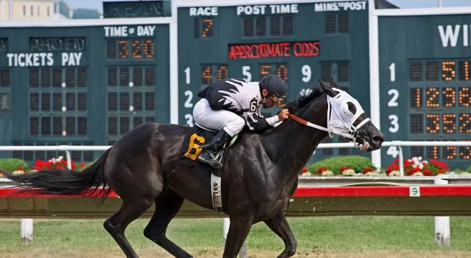 Seabiscuit (2003): Close to the Record, Light on Detail (Image Credits: Pexels)