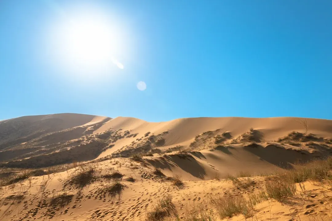 The Desert Heat Is Not a Metaphor (Image Credits: Unsplash)